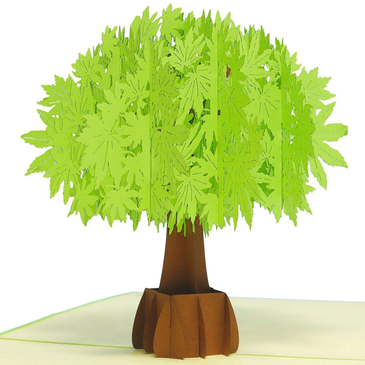 Pop Up Karte 3D Grüner Baum Natur – Grußkarte Geburtstag & Naturliebhaber