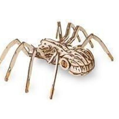 DIY EWA 3D Wooden Puzzle Spider, 488, 240x350x100mm