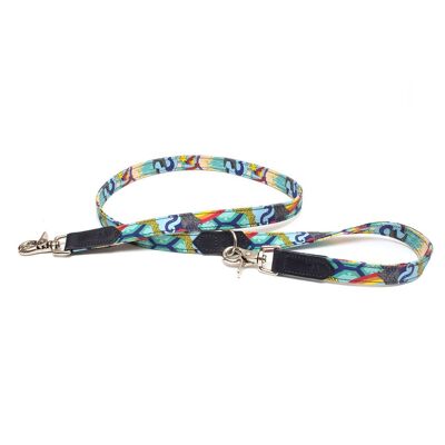 Wizard of Dog Cafe Lead/Leash