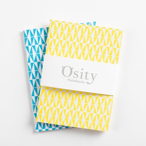 Pack of Two Flash Pocketbooks, Swimming Pool Blue and Luminous Yellow