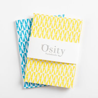 Paquete de dos cuadernos flash, azul piscina y amarillo luminoso