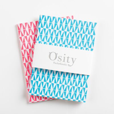 Paquete de dos cuadernos flash, rosa fuerte y azul piscina