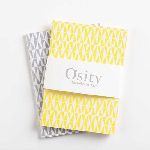 Pack of Two Flash Pocketbooks, Luminous Yellow and Subtle Silver