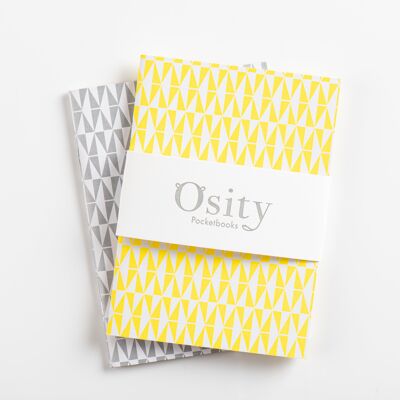 Packung mit zwei Flash-Taschenbüchern, leuchtendes Gelb und dezentes Silber