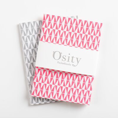 Paquete de dos libros de bolsillo Flash, rosa fuerte y plateado sutil