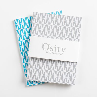 Pack of Two Flash Pocketbooks, Swimming Pool Blue and Subtle Silver