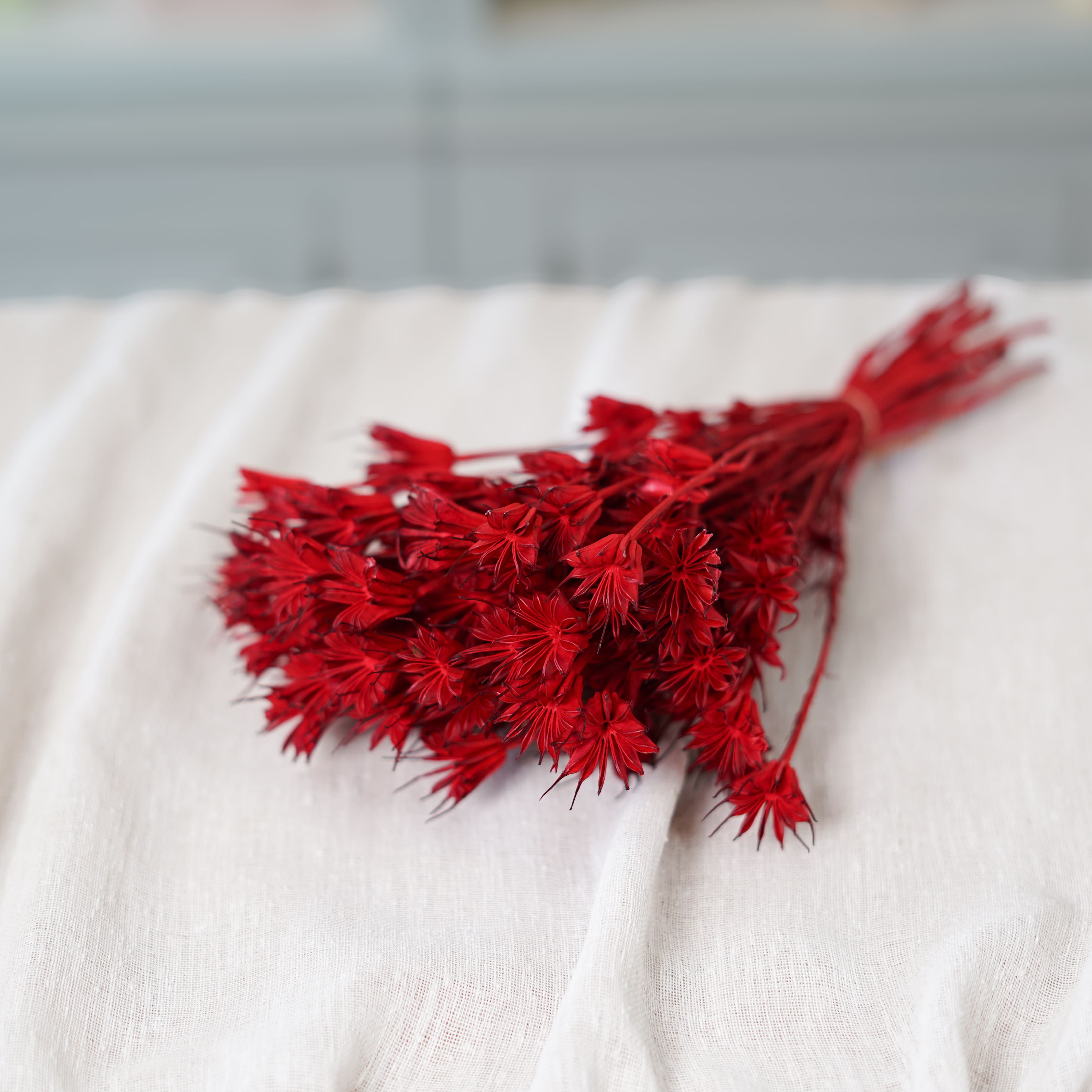 Botte de nigelle orientalis rouge