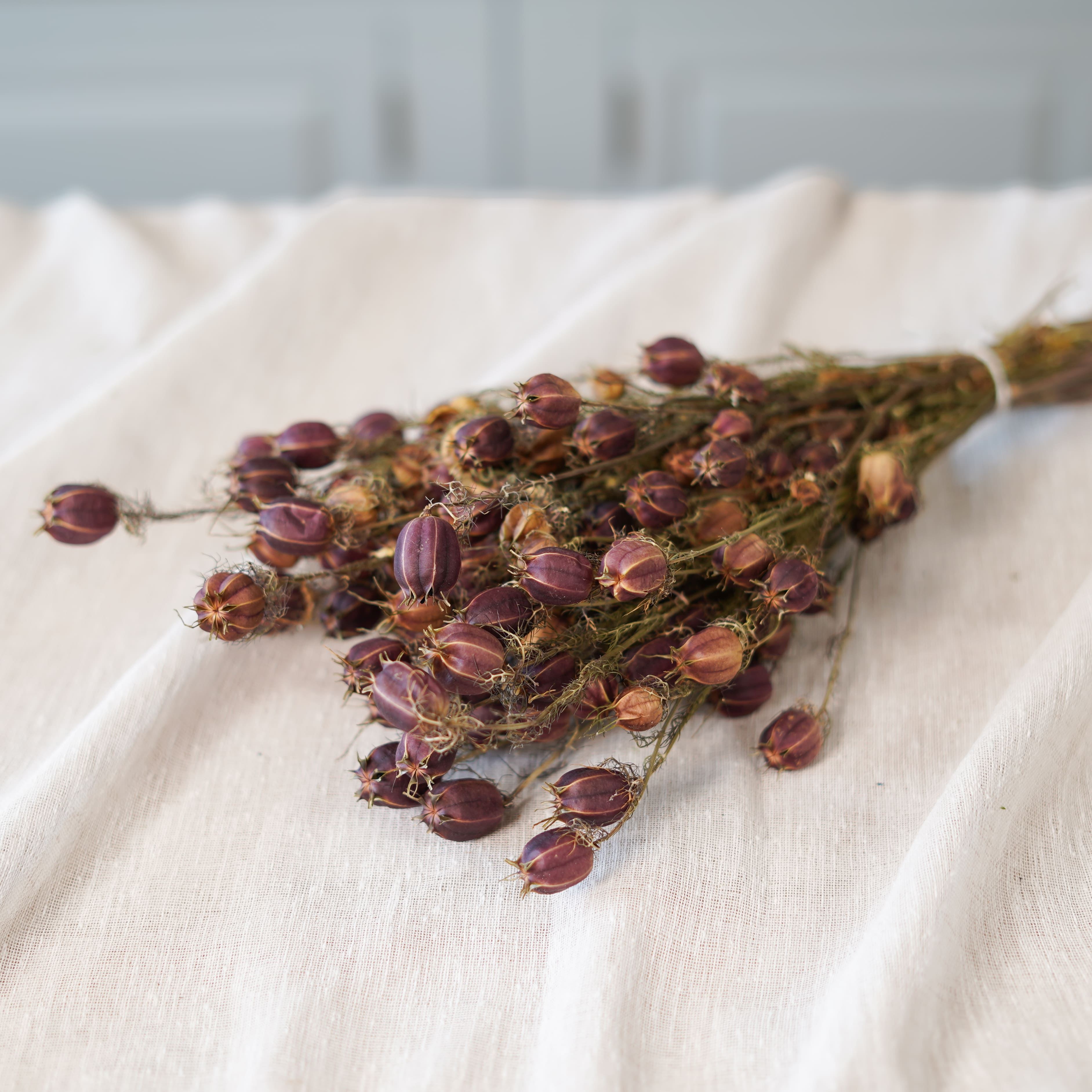 Botte de nigelle de Damas