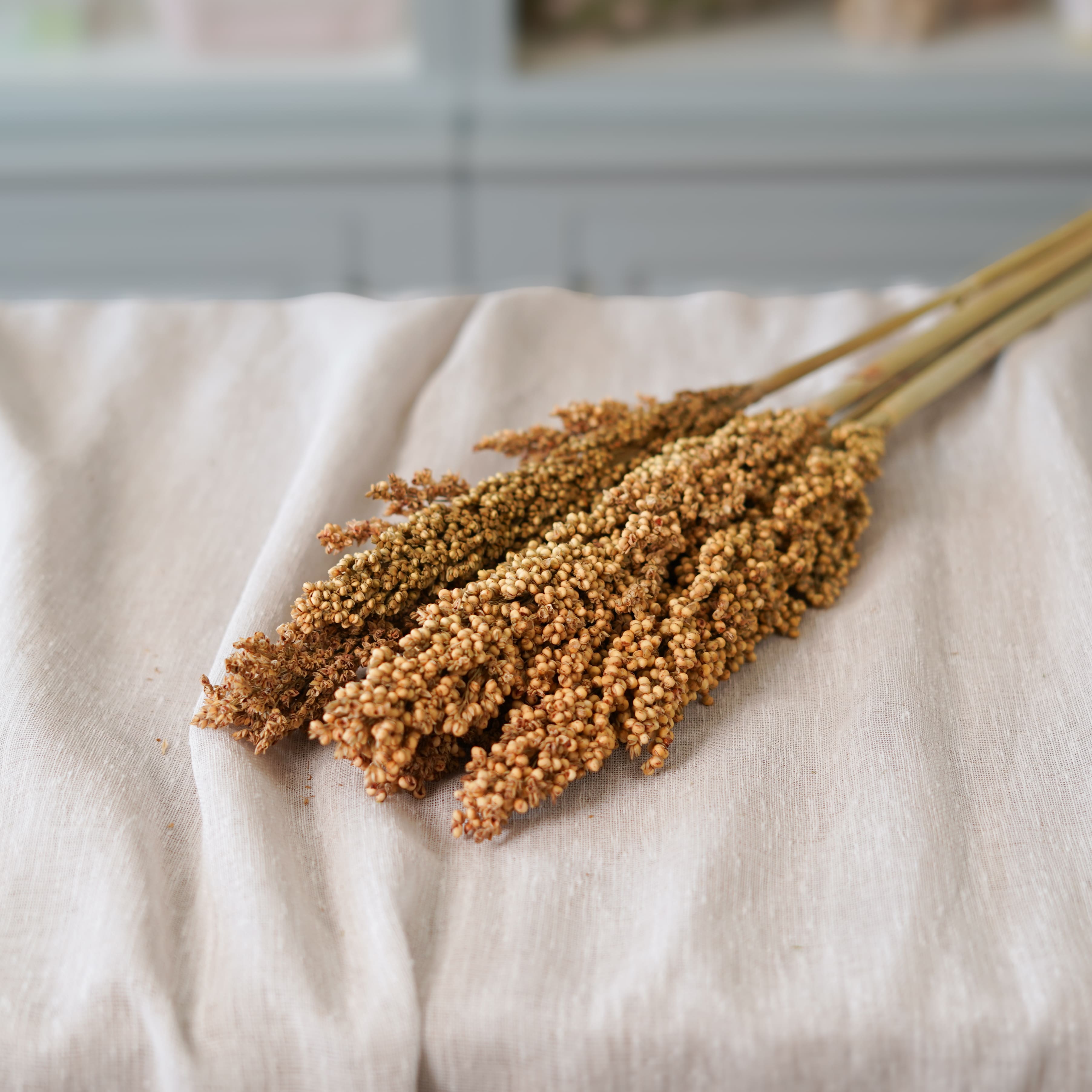 Botte de sorghum naturel