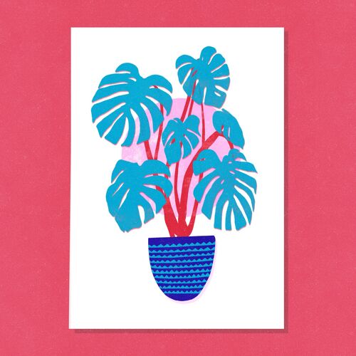 Swiss Cheese Plant Art Print