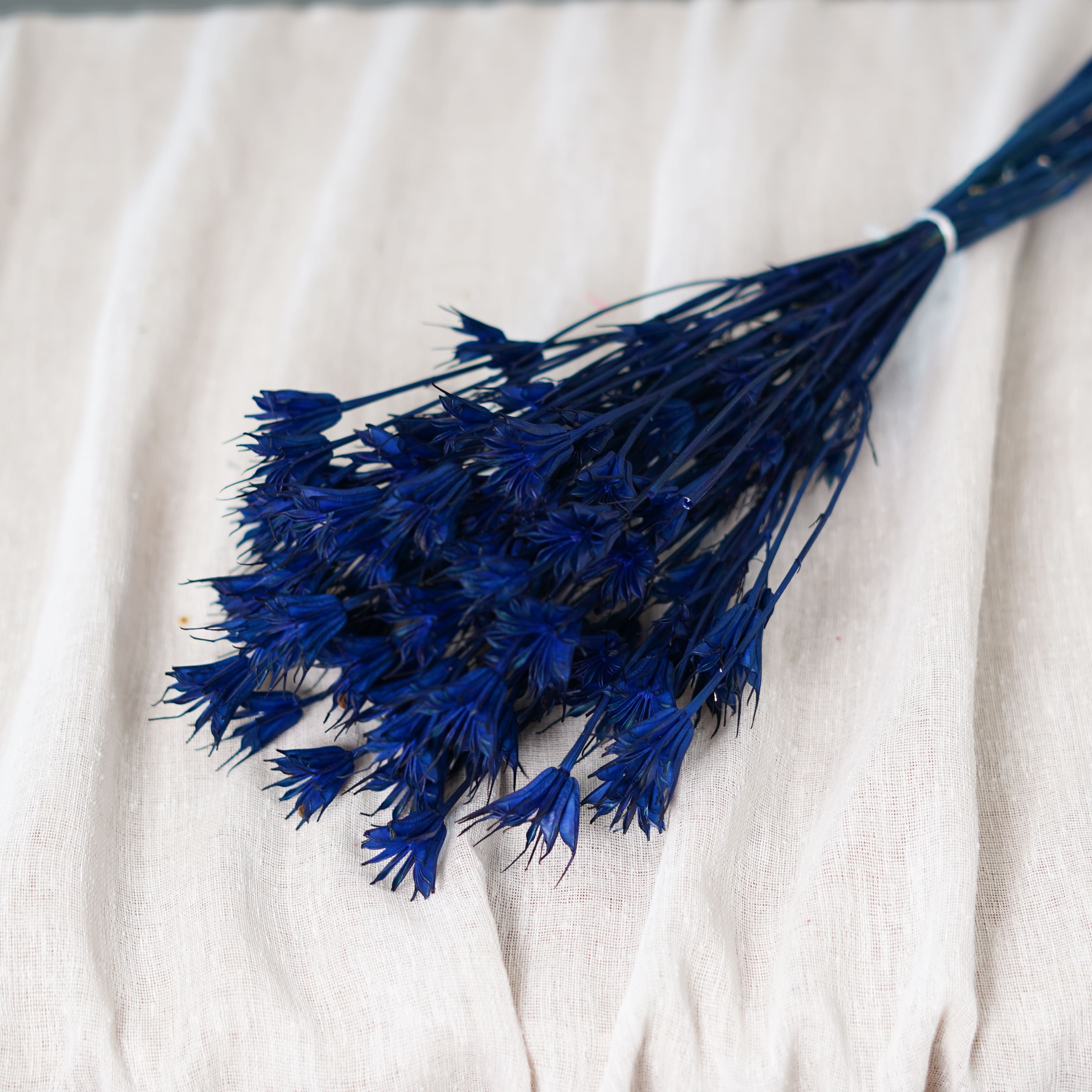 Botte de nigelle orientalis bleue