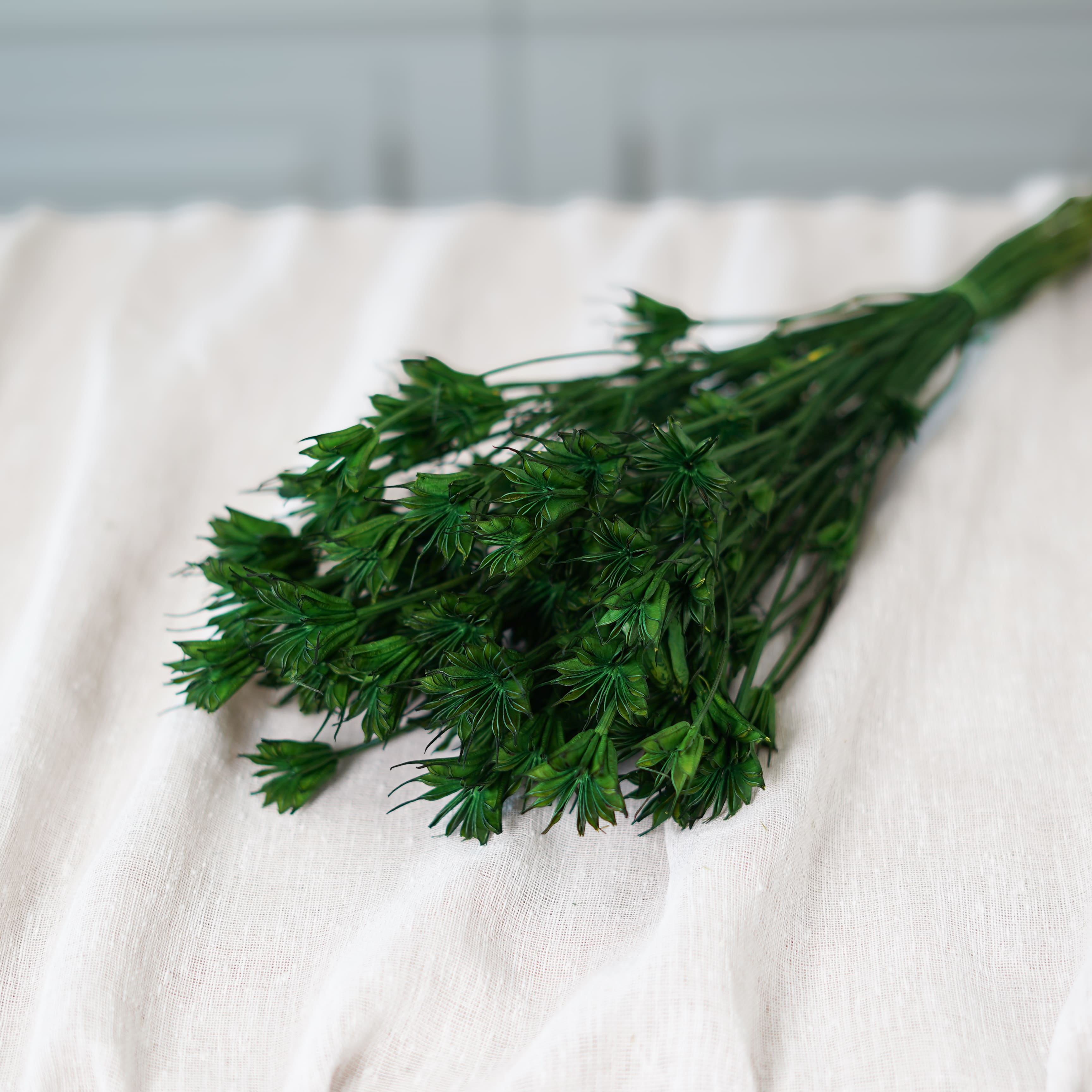 Botte de nigelle orientalis verte