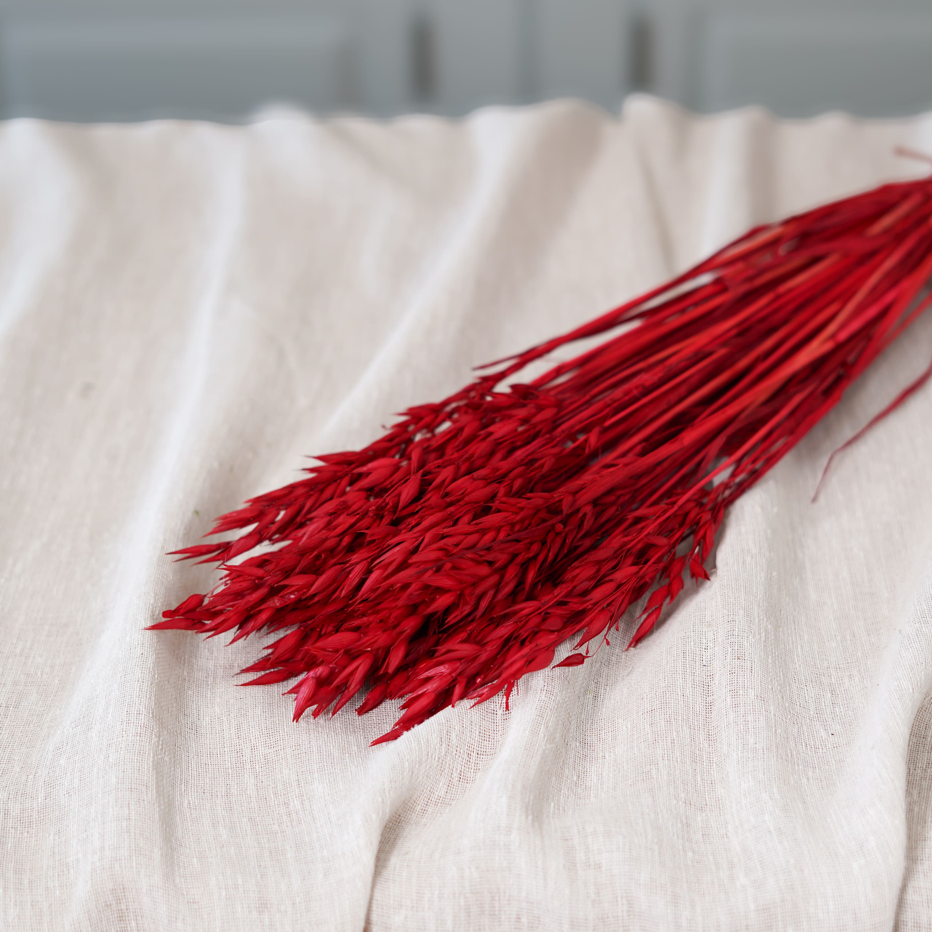 Botte avoine rouge intense