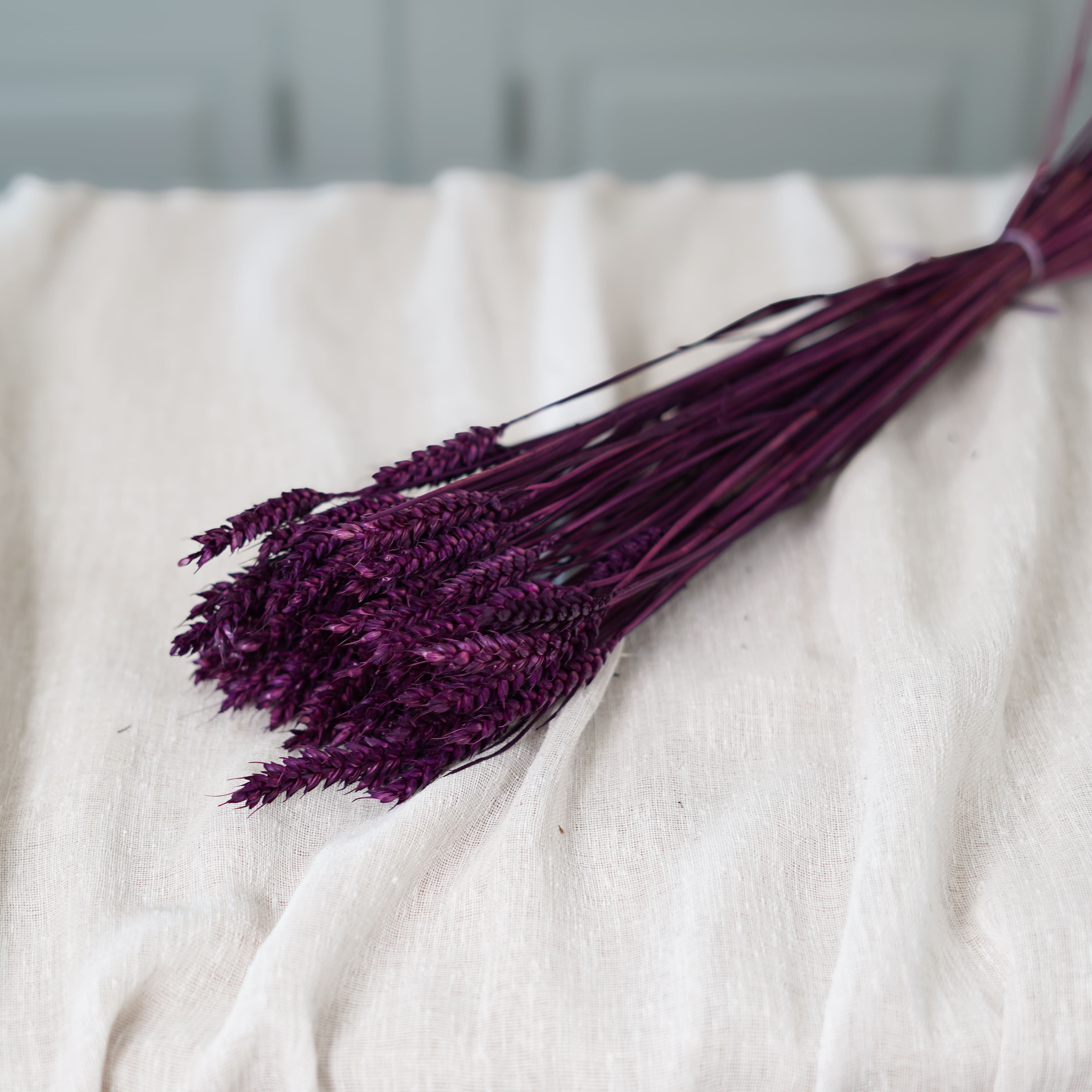 Botte Blé violet intense