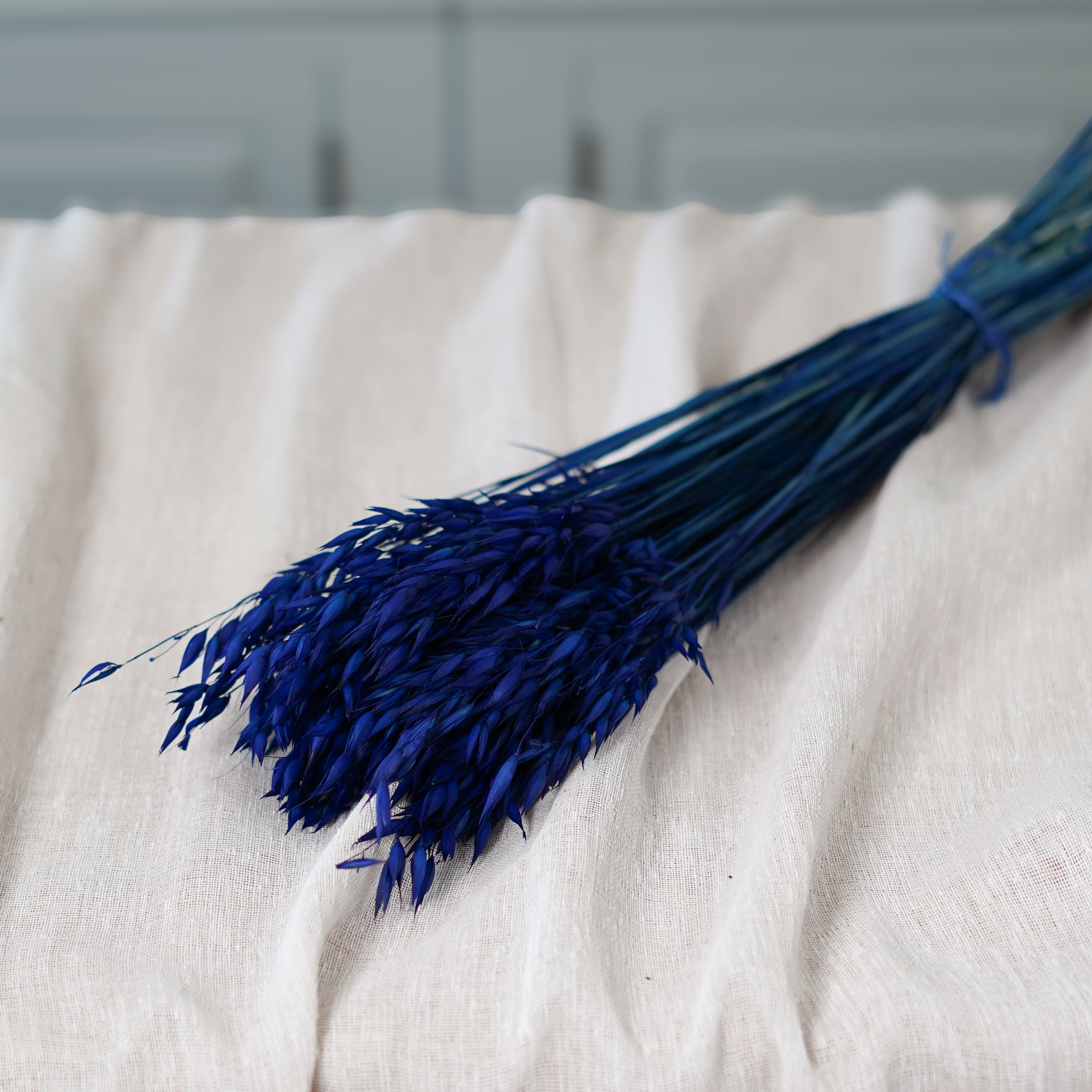 Botte avoine bleu intense