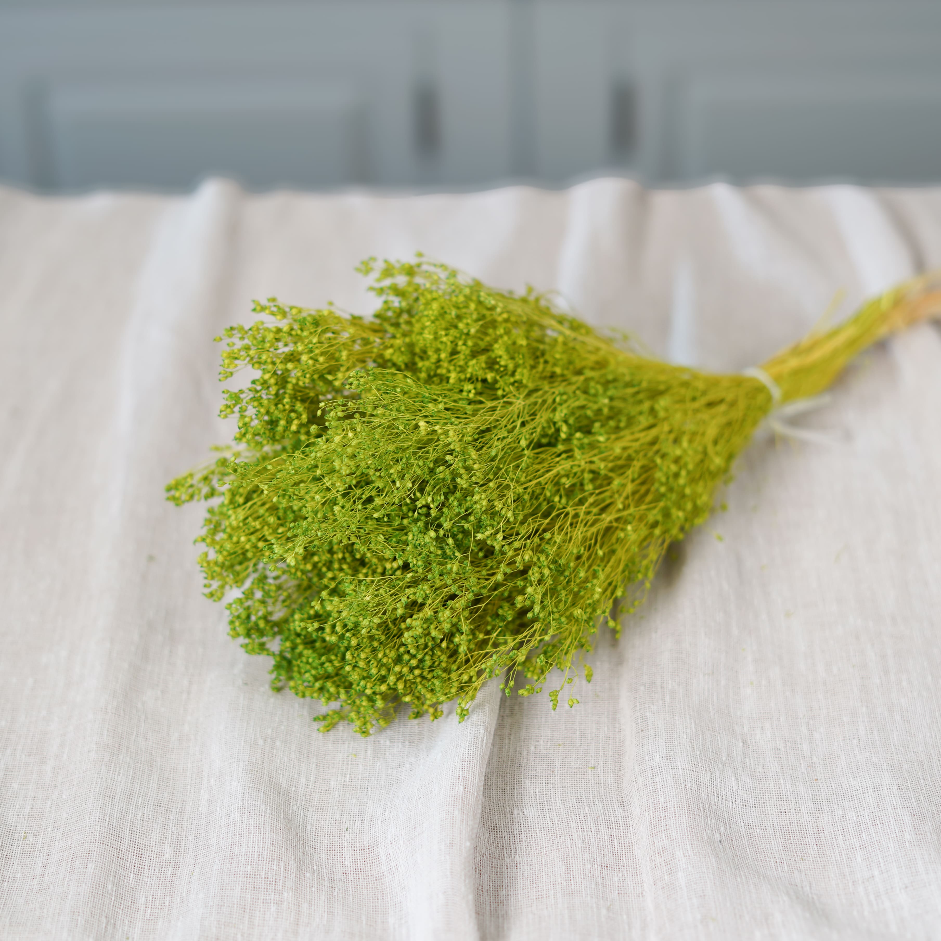 Botte Broom bloom vert pâle