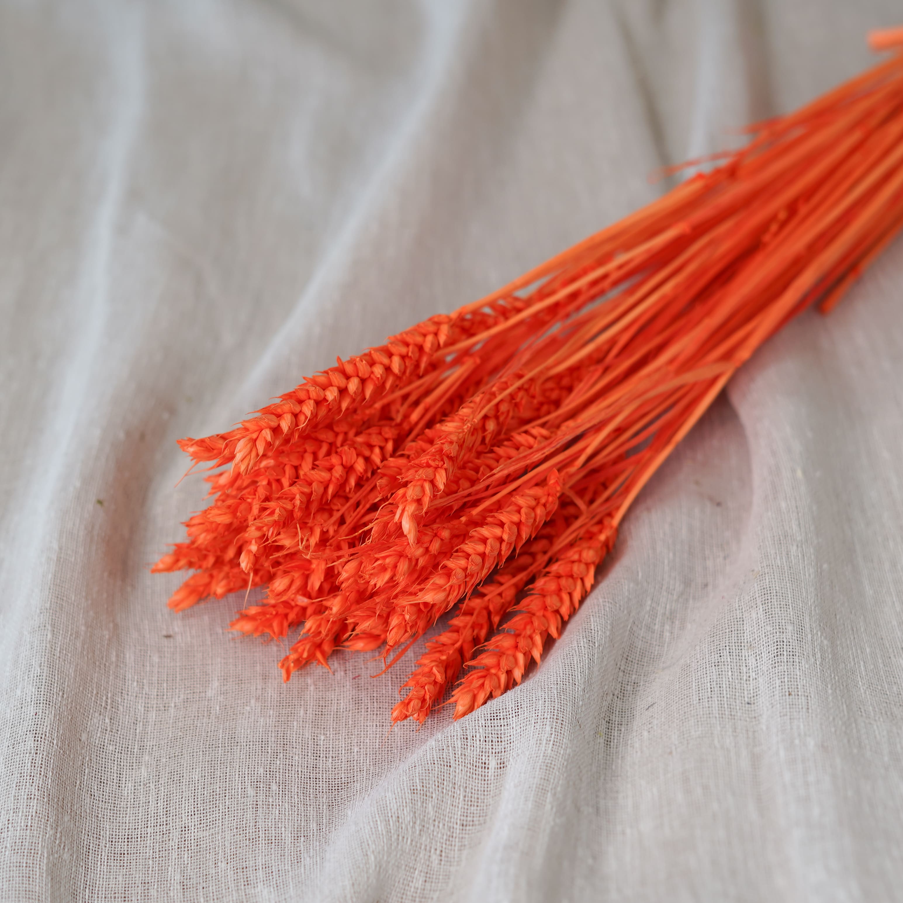 Botte Blé orange intense