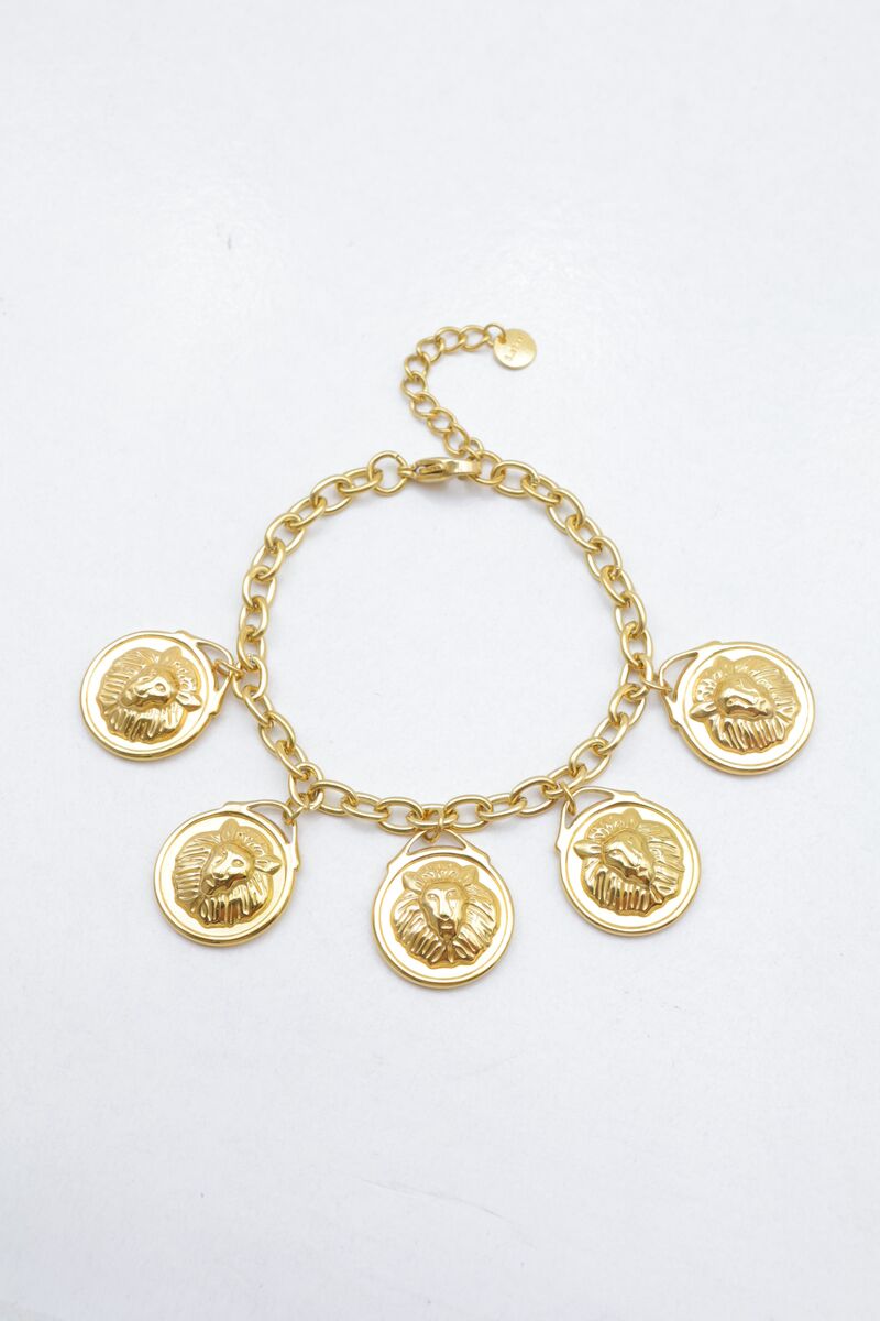 Stainless steel bracelet