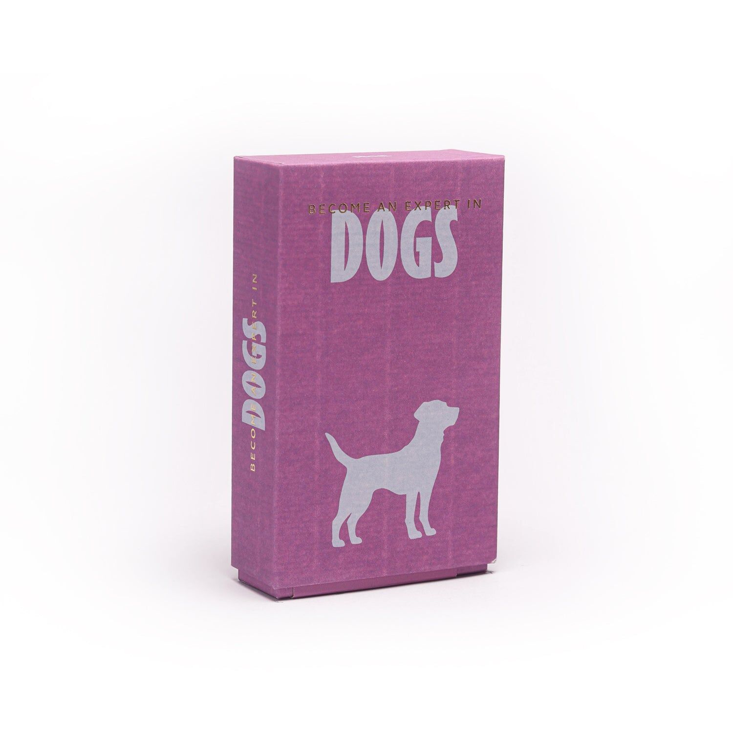Become an Expert in Dogs