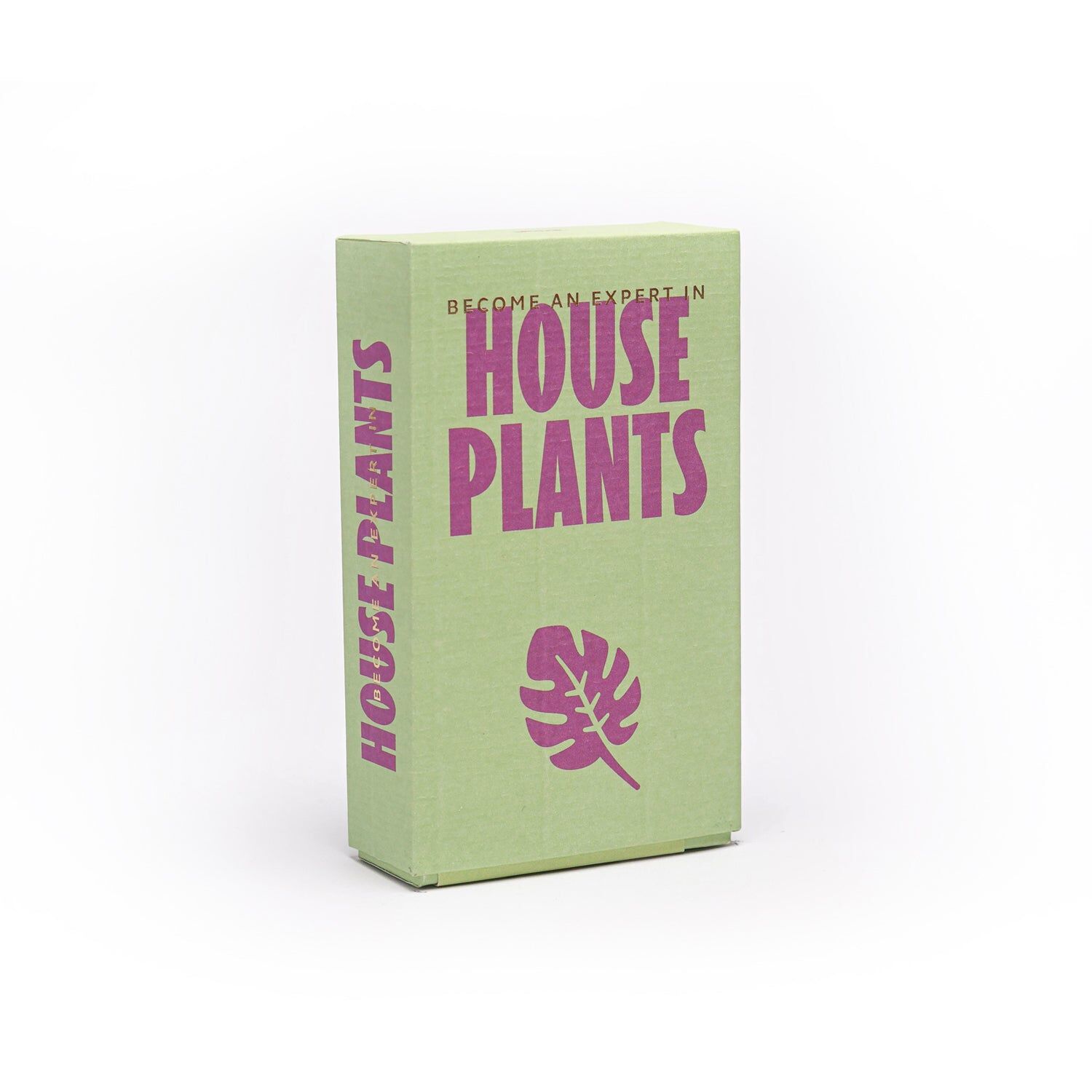 Become an Expert in House Plants