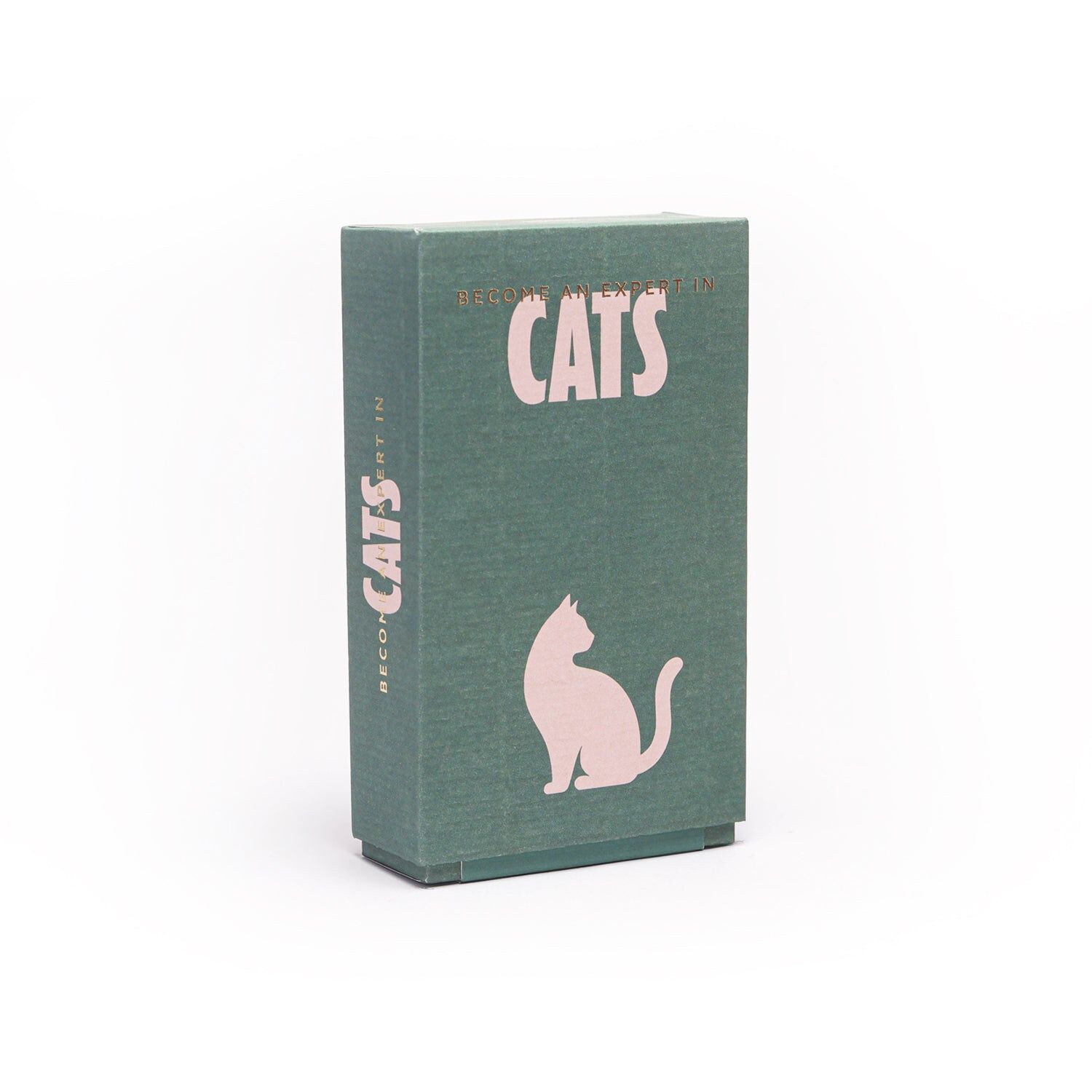 Become an Expert in Cats