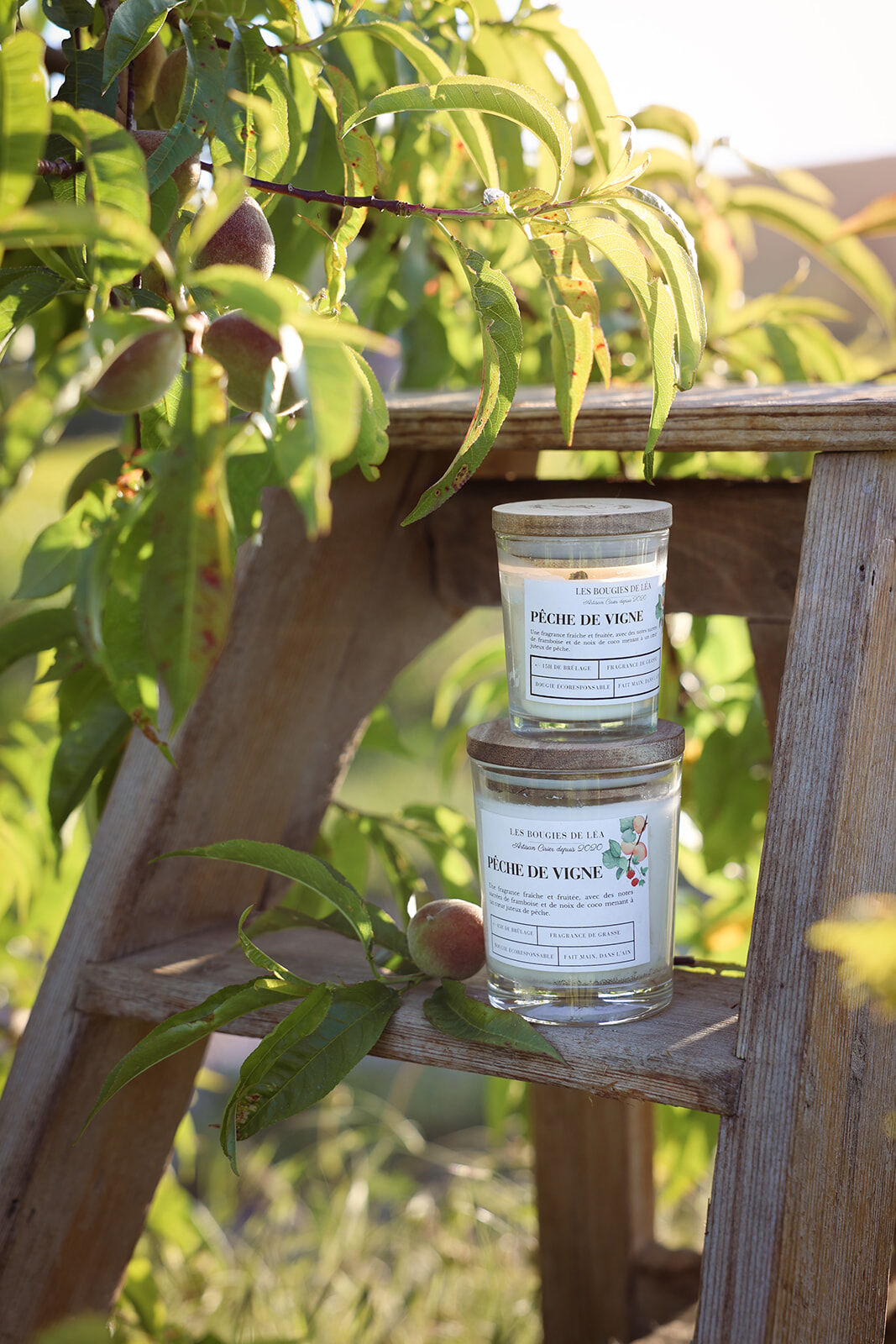 Small Peach Vine Scented Candle - Pack of 6