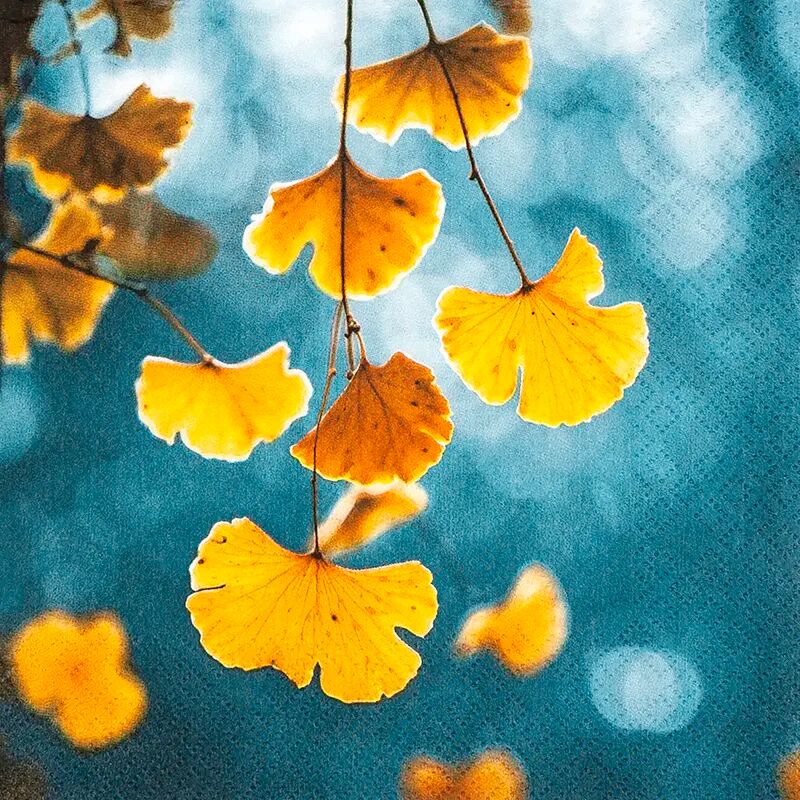 Napkins Natural Ginkgo