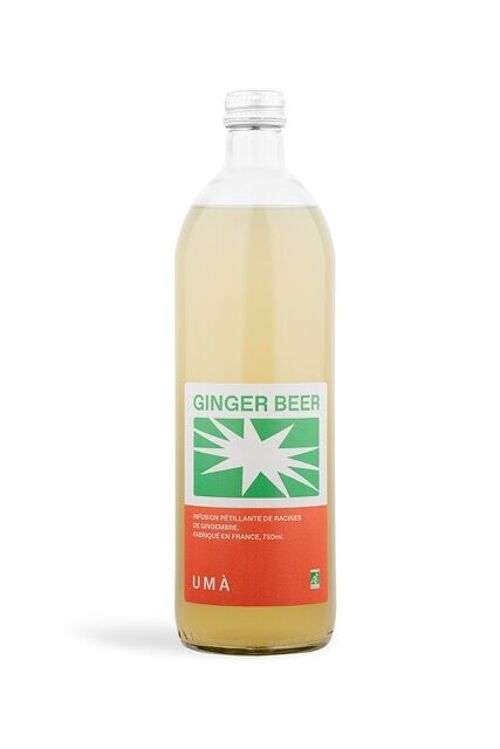 Ginger Beer bio - 6x75cl