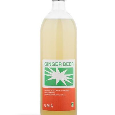 Organic Ginger Beer - 6x75cl