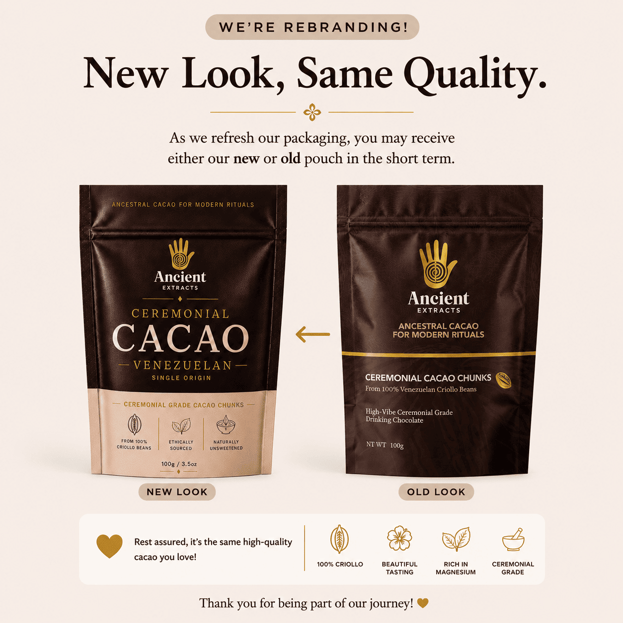 Buy wholesale Venezuelan Cacao | Ceremonial Cacao | Criollo Cacao