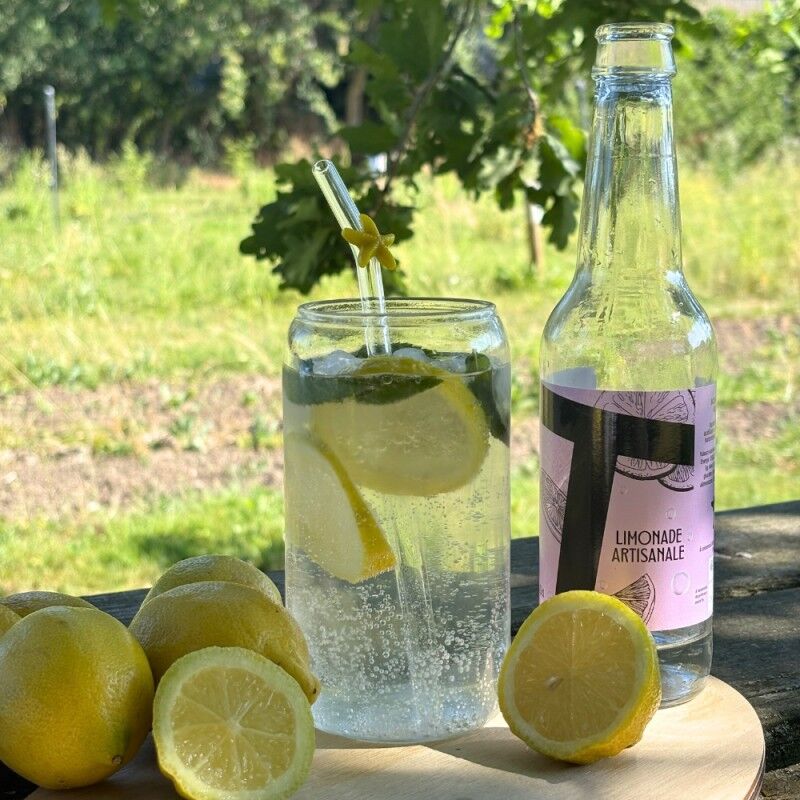 Plain Lemonade - 33cl