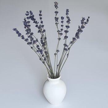 Vase fait main "PUKU mini" - pour fleurs séchées 4
