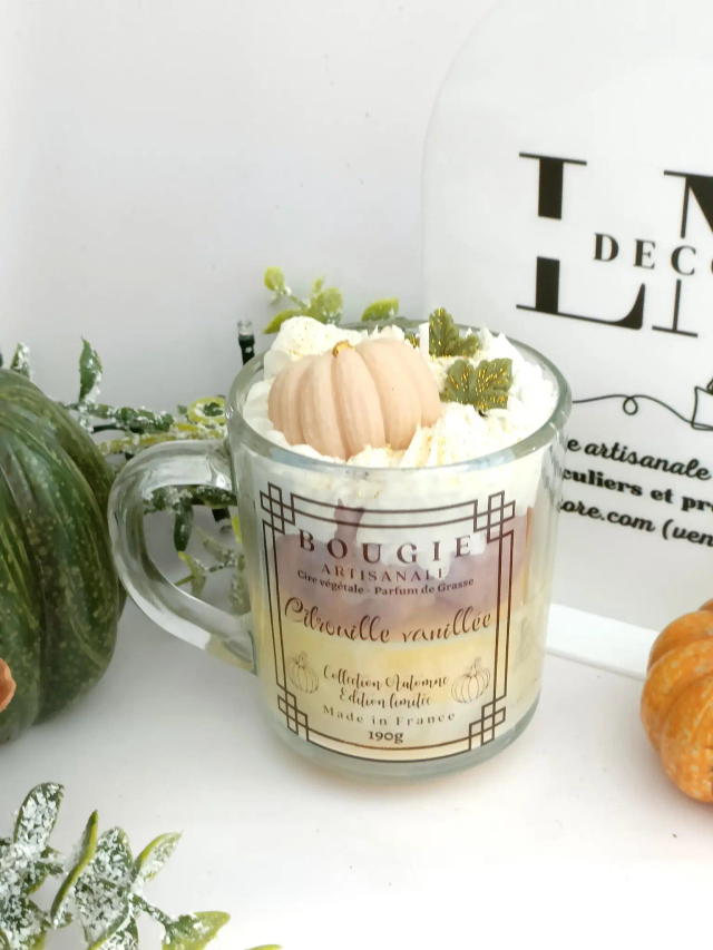 Gourmet Pumpkin Vanilla Mug Candle