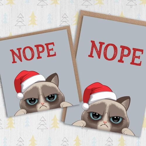 Grumpy cat Christmas card: Nope