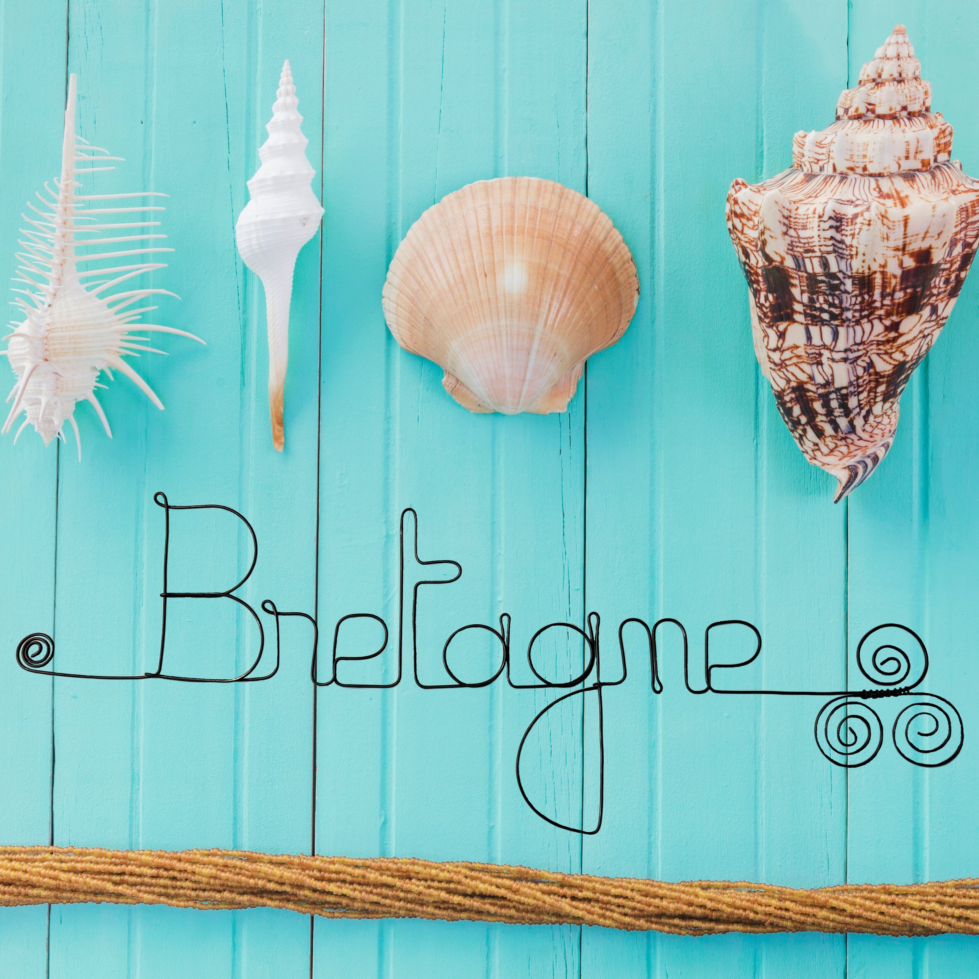 Wire Wall Decoration "Brittany" - Pin-up Wall Art - Wall Jewelry - Sea/Ocean