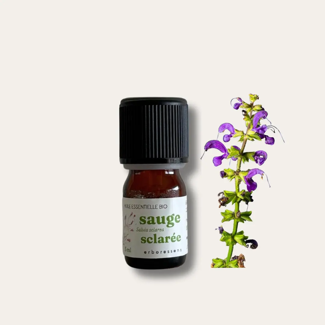 Buy wholesale Book: Clary Sage in Perfumery – Collective
