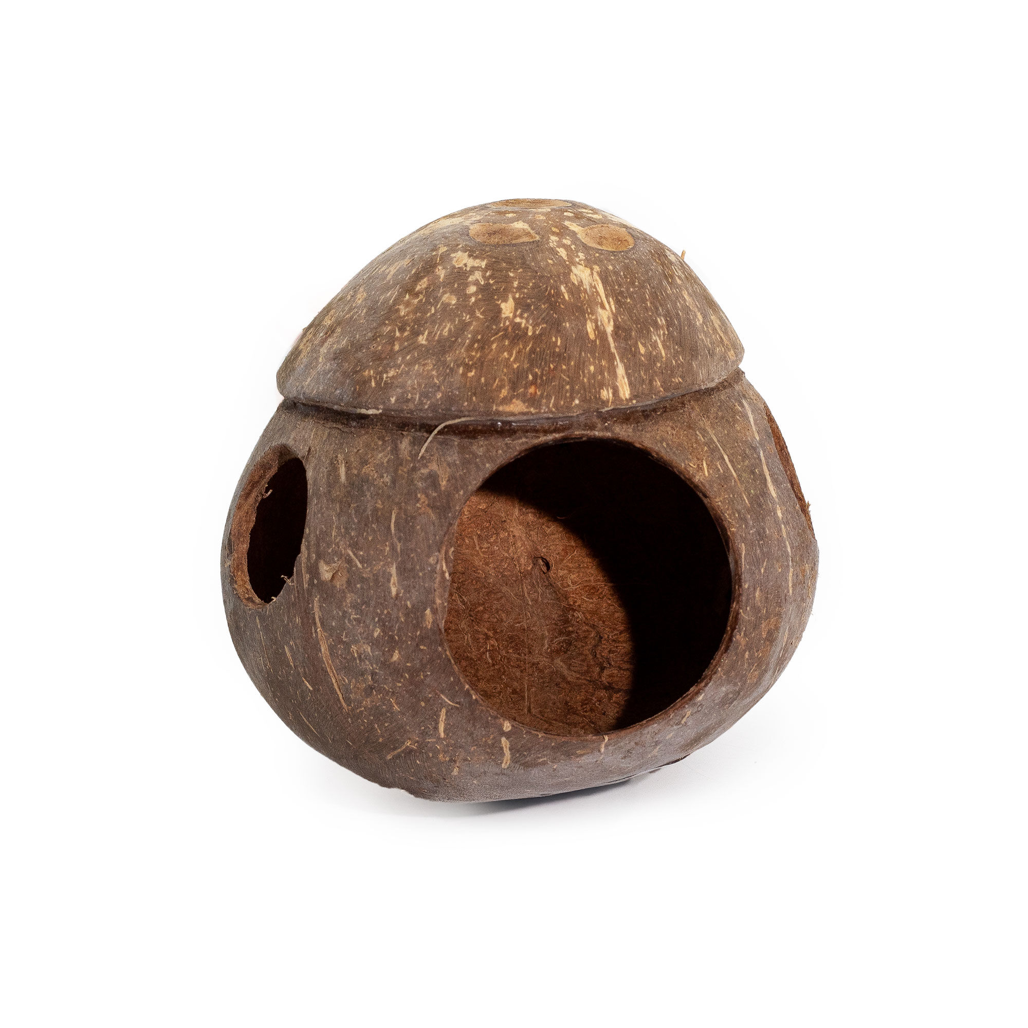 4X Natural Coconut Birdhouse - with Hook - 13 cm