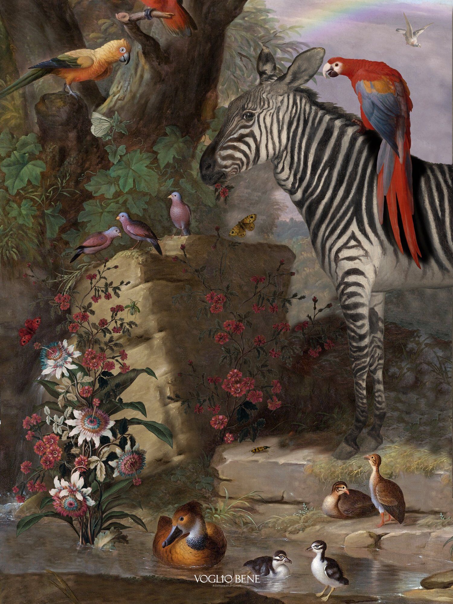 A2 POSTER ZEBRA AND CO.