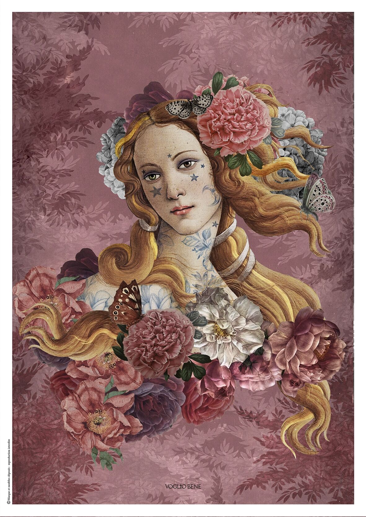 CANSON A3 POSTER VENUS