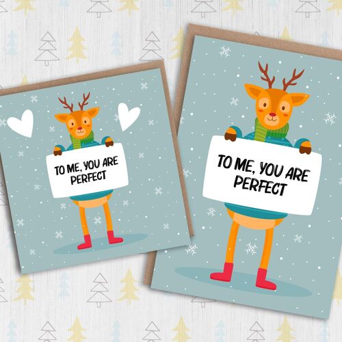 Christmas card: To me, you are perfect