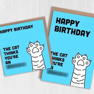 Tarjeta de cumpleaños: el gato piensa que eres un idiota