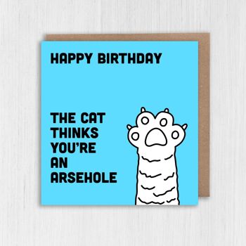 Carte d'anniversaire : le chat pense que tu es un trou du cul 3