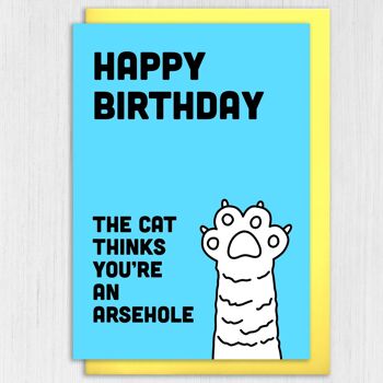 Carte d'anniversaire : le chat pense que tu es un trou du cul 4