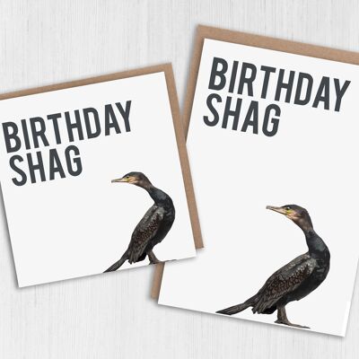 Birthday card: Birthday shag