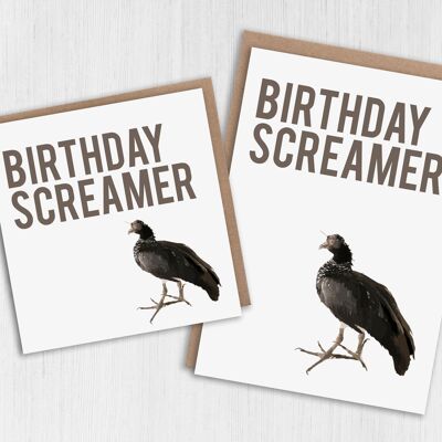 Birthday card: Birthday screamer