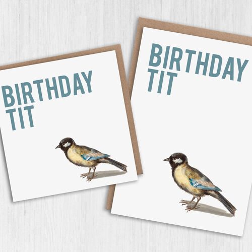 Birthday card: Birthday tit