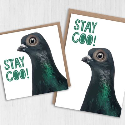 Biglietto d'auguri piccione: Stay Coo!