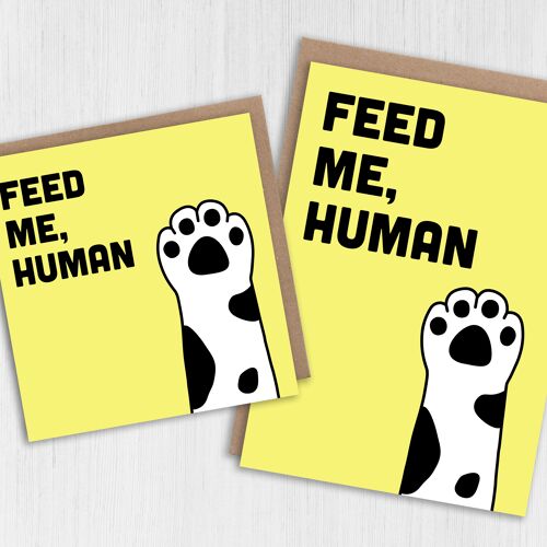 Cat birthday card: Feed me, human