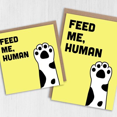 Katzengeburtstagskarte: Fütter mich, Mensch