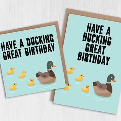 Biglietto di compleanno: grande compleanno di ducking